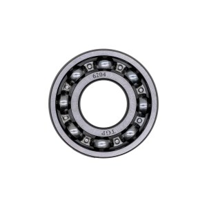 Bearing 6204